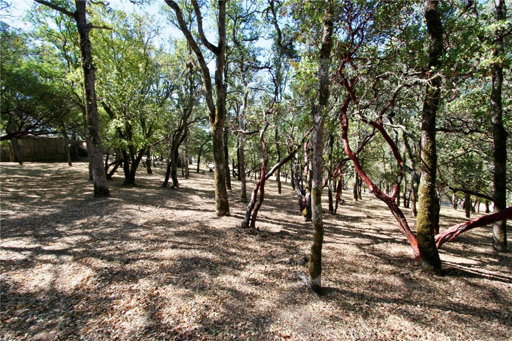 2625 Eastlake Drive Property Photo 17