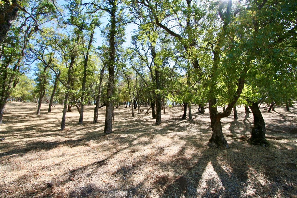2625 Eastlake Drive Property Photo 22