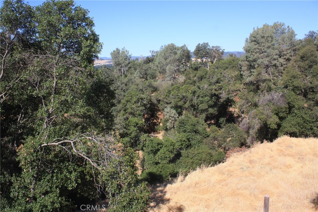 7214 Shasta St Property Photo 1