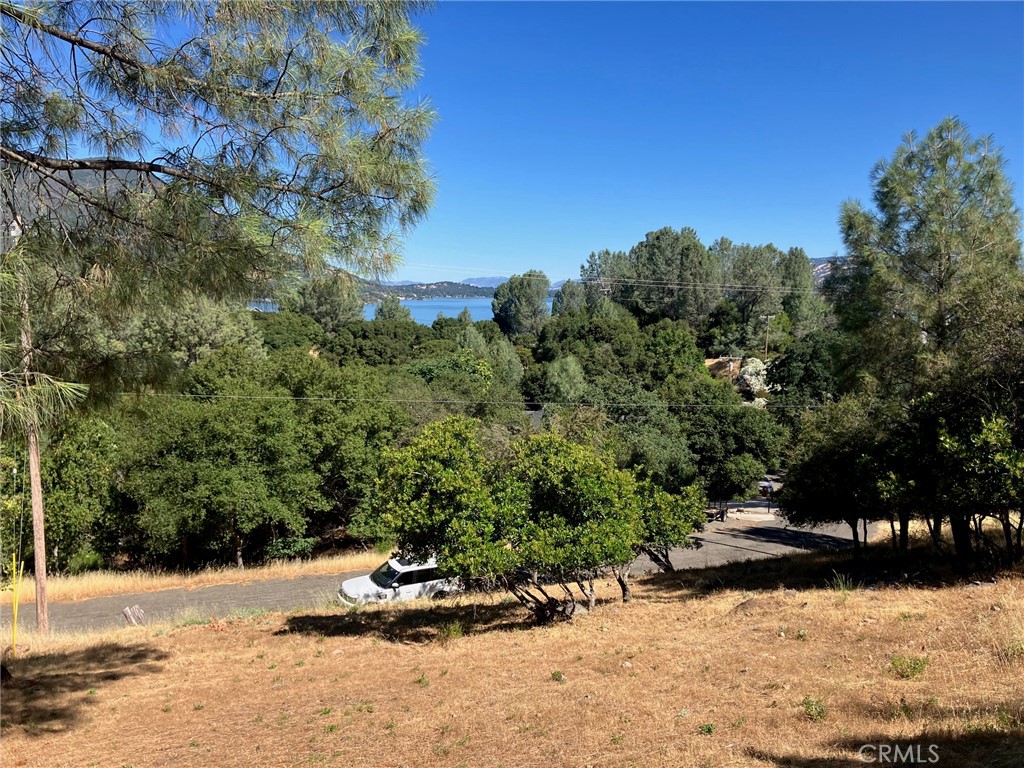 10650 Edgewater Drive Property Photo 1