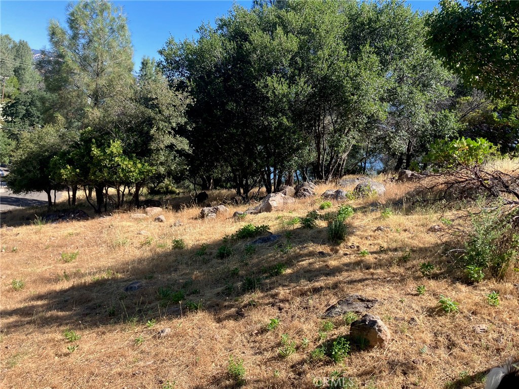 10650 Edgewater Drive Property Photo 2