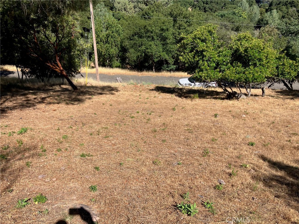 10650 Edgewater Drive Property Photo 3