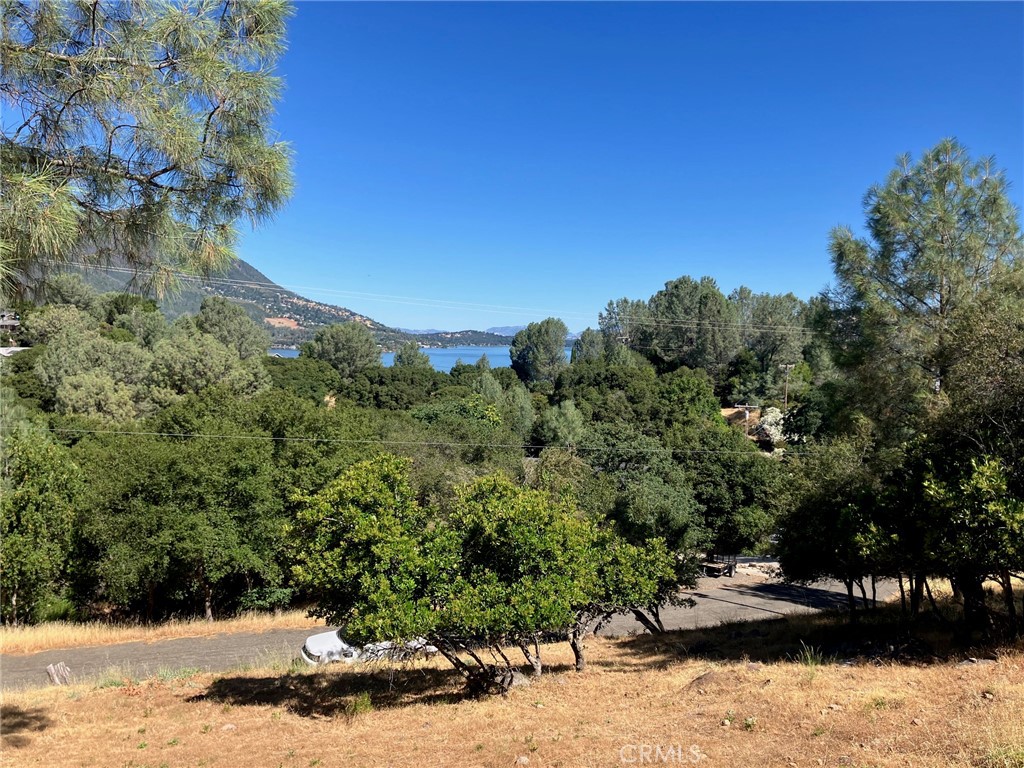 10650 Edgewater Drive Property Photo 4