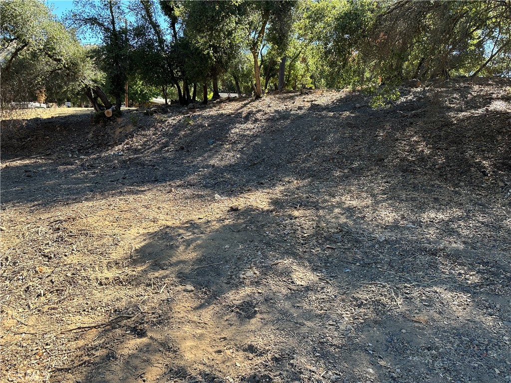 3220 Country Club Drive Property Photo 2