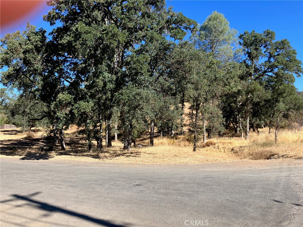 16108 36th Avenue Property Photo 1