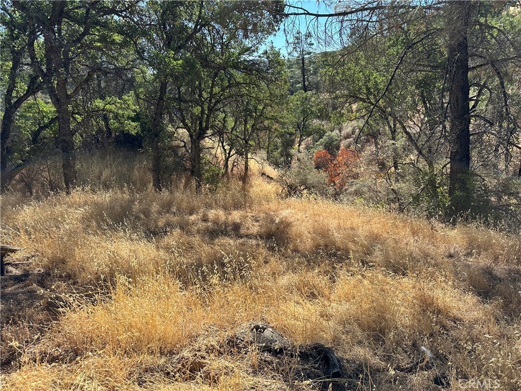 452 Watertrough Road Property Photo 2