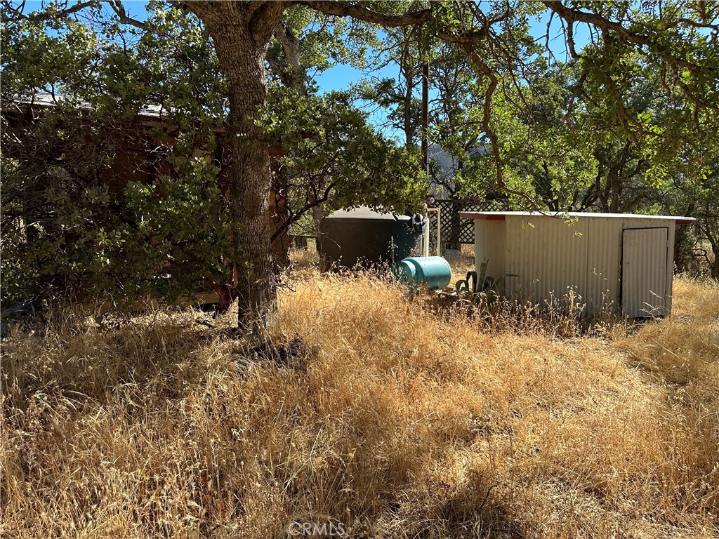 452 Watertrough Road Property Photo 4