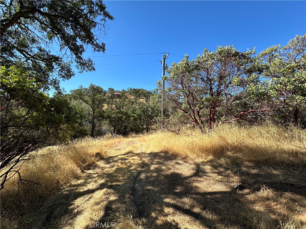 452 Watertrough Road Property Photo 6