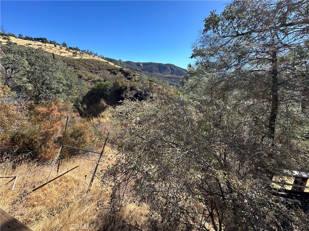 452 Watertrough Road Property Photo 10