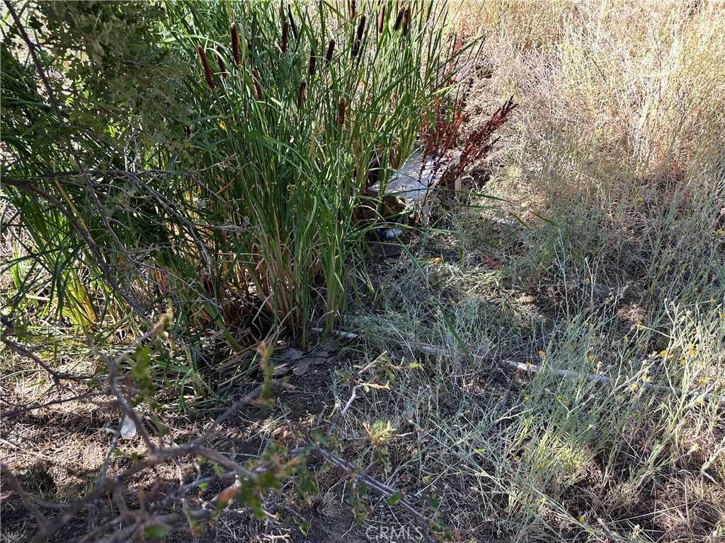 452 Watertrough Road Property Photo 15