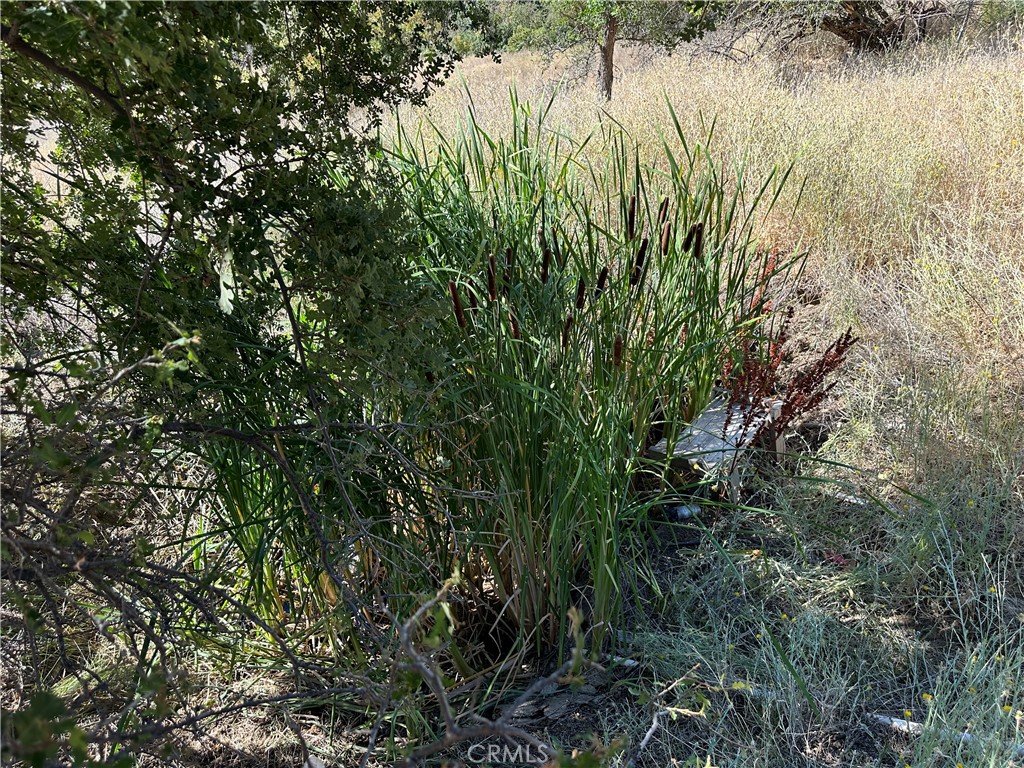 452 Watertrough Road Property Photo 16
