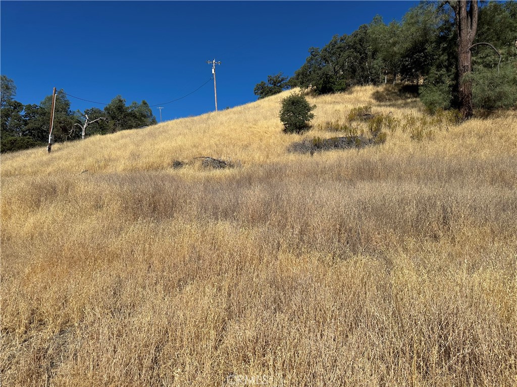 452 Watertrough Road Property Photo 17