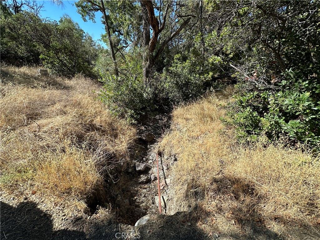 452 Watertrough Road Property Photo 19