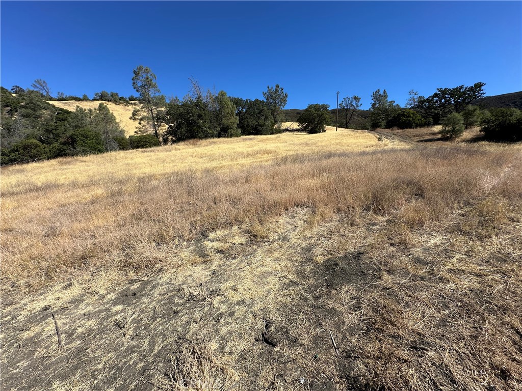 452 Watertrough Road Property Photo 22