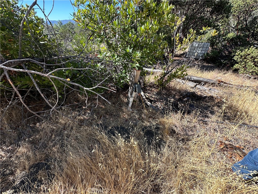 452 Watertrough Road Property Photo 24