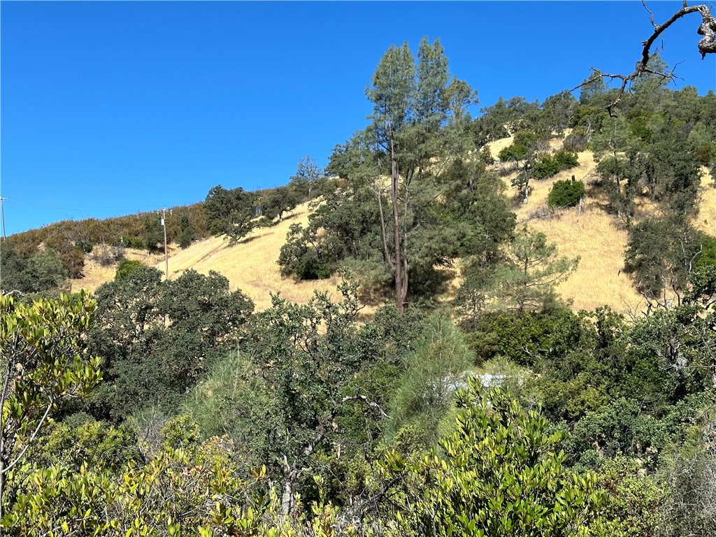 452 Watertrough Road Property Photo 25