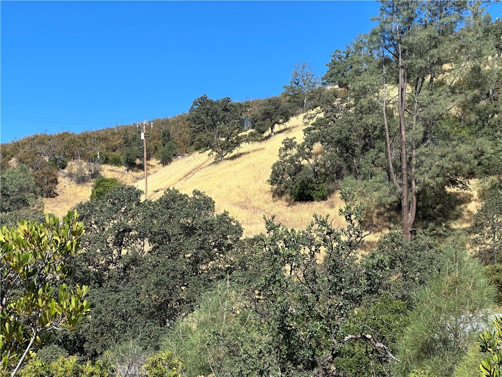 452 Watertrough Road Property Photo 26