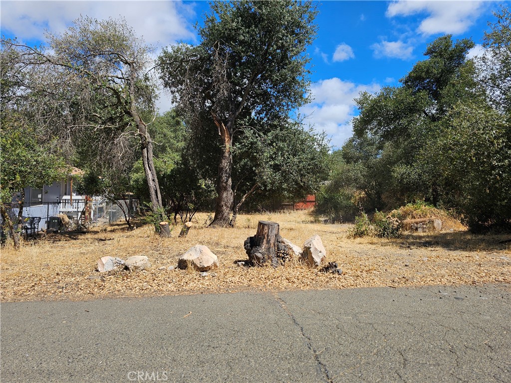3070 10th Street Property Photo 1
