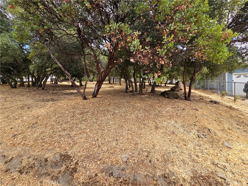 9717 Mount Hood Way Property Photo 2
