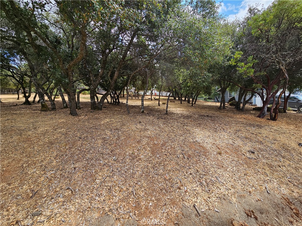 9717 Mount Hood Way Property Photo 3