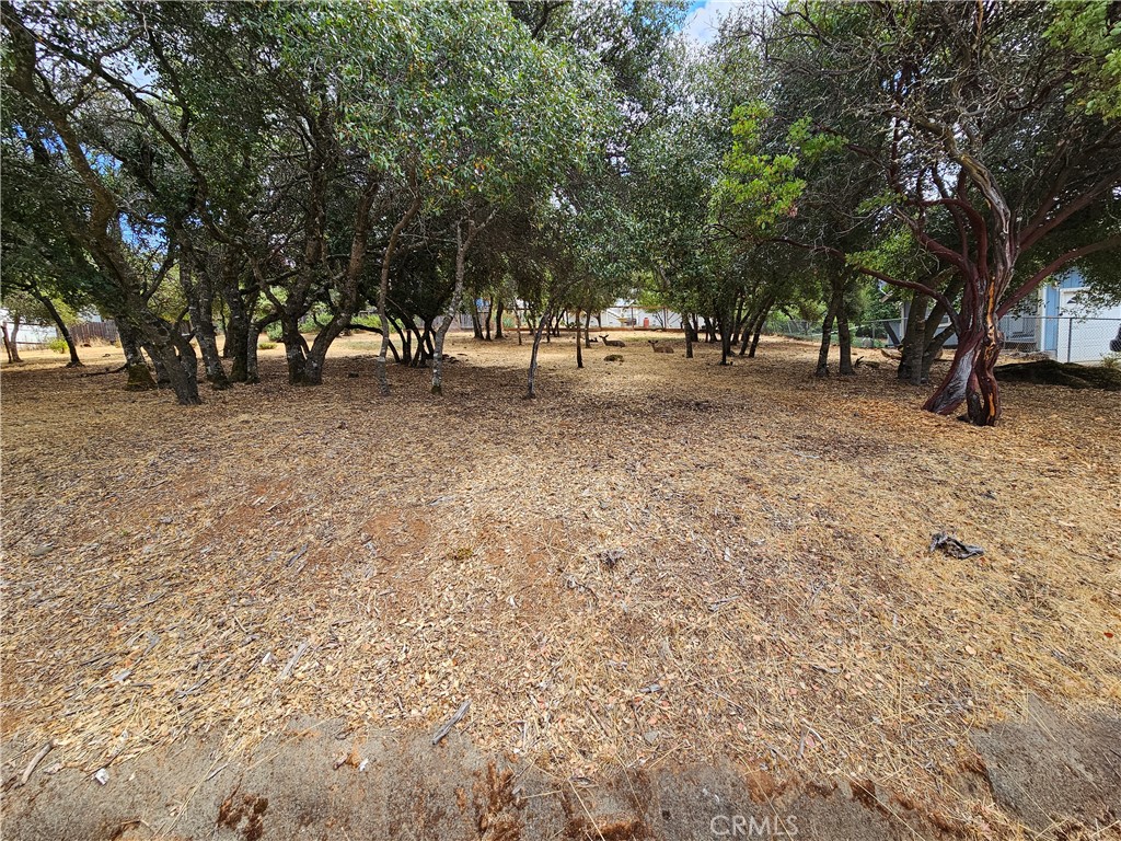 9717 Mount Hood Way Property Photo 4