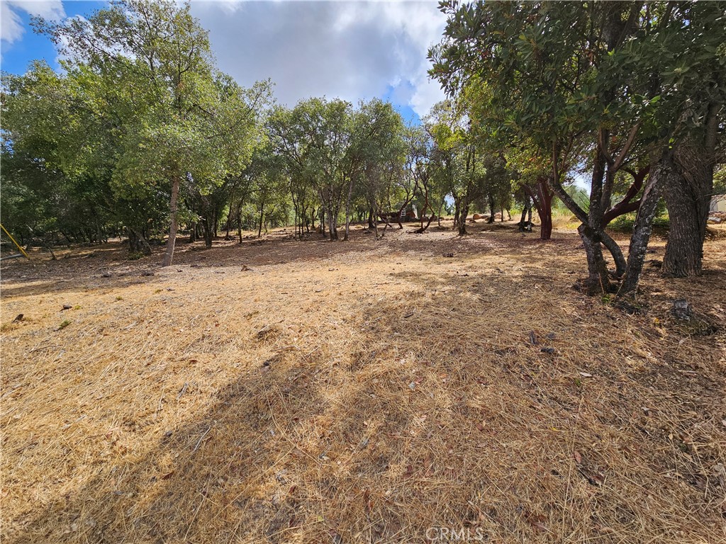 9599 Timberline Court Property Photo
