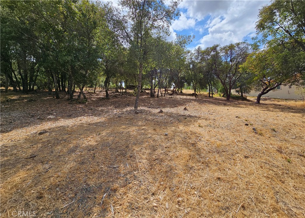 9599 Timberline Court Property Photo 2