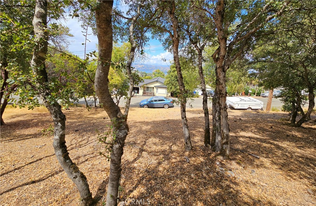 9599 Timberline Court Property Photo 3