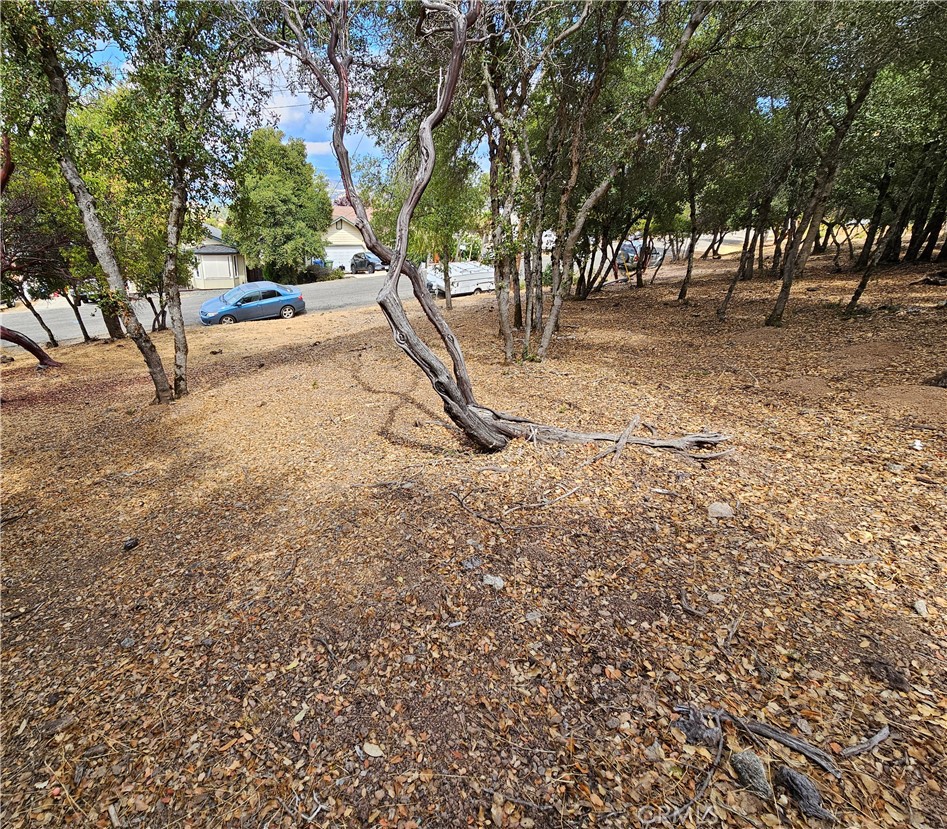 9599 Timberline Court Property Photo 4