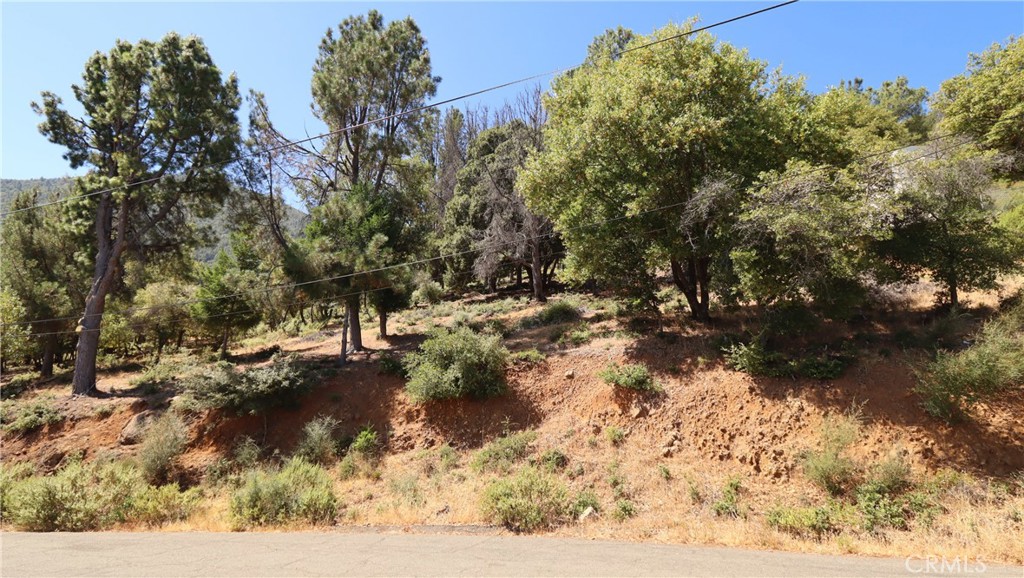 8151 Broadview Drive Property Photo 3