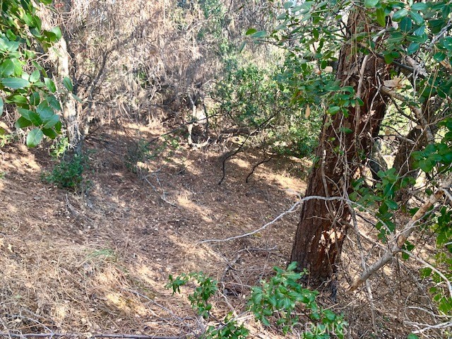 12321 Mountain View Drive Property Photo 2