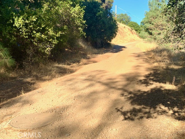 12321 Mountain View Drive Property Photo 4