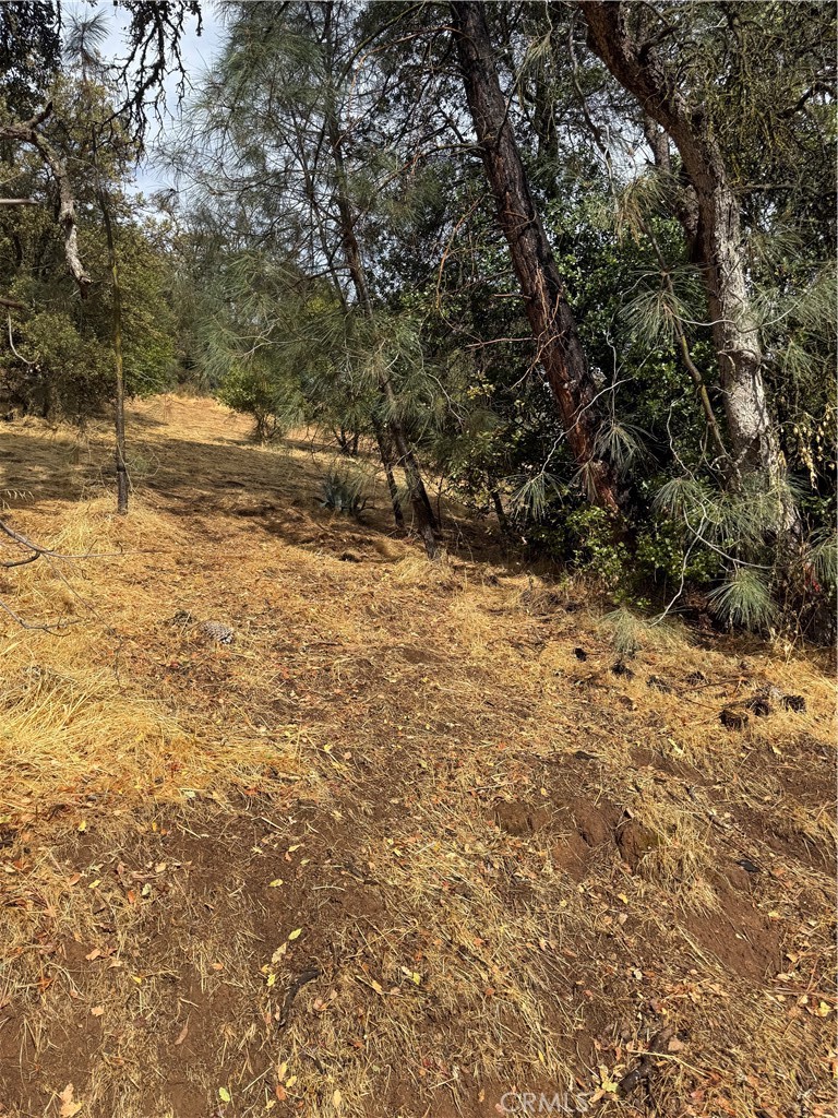 12504 Lakeview Drive Property Photo 1