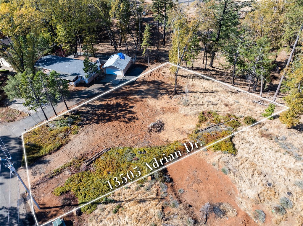 13505 Adrian Drive Property Photo 1