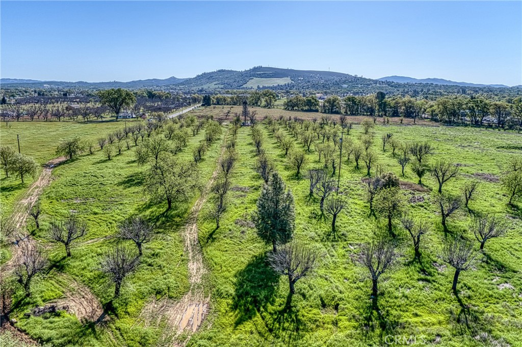 14549 Burns Valley Road Property Photo 4