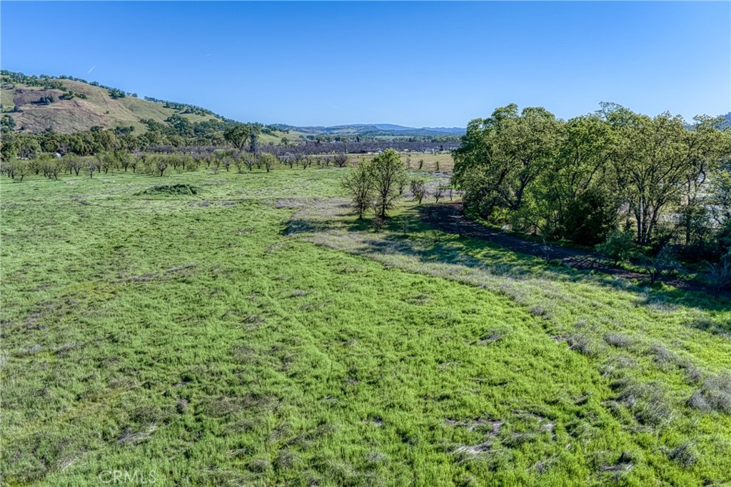 14549 Burns Valley Road Property Photo 9