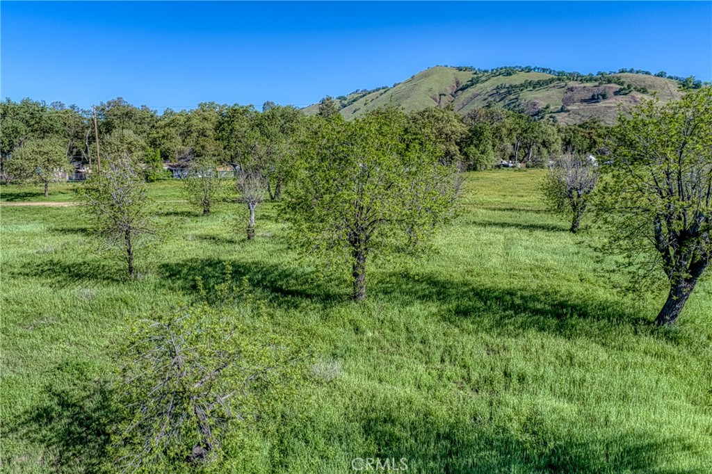 14549 Burns Valley Road Property Photo 13
