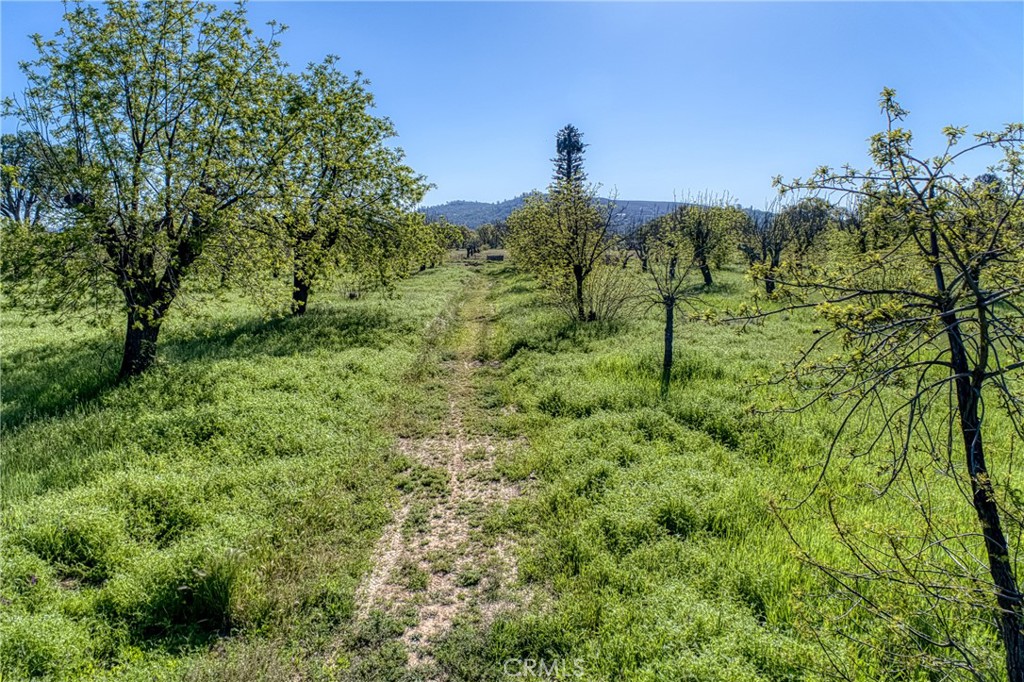 14549 Burns Valley Road Property Photo 14