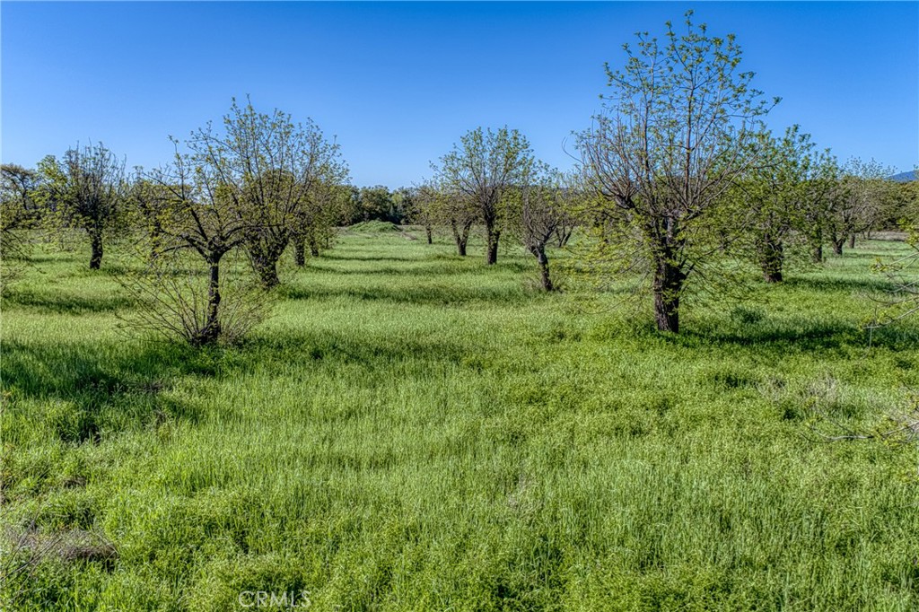 14549 Burns Valley Road Property Photo 15