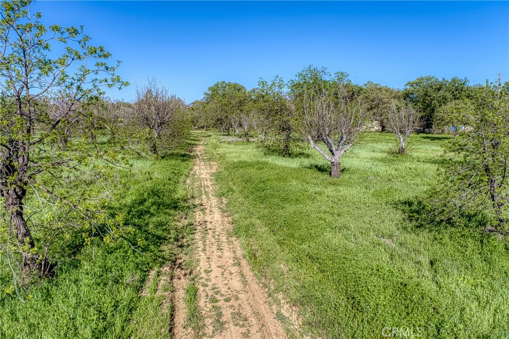 14549 Burns Valley Road Property Photo 16