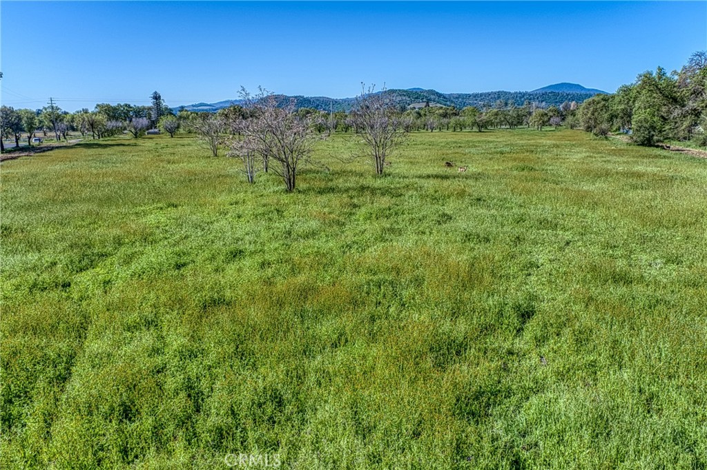 14549 Burns Valley Road Property Photo 17