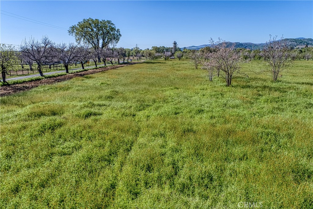 14549 Burns Valley Road Property Photo 18