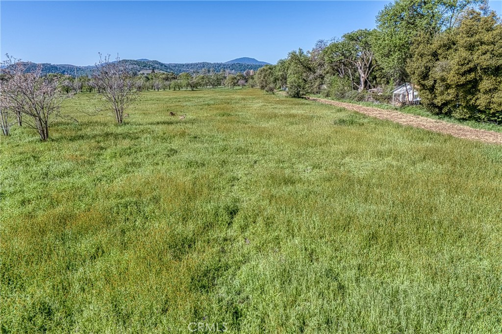 14549 Burns Valley Road Property Photo 19