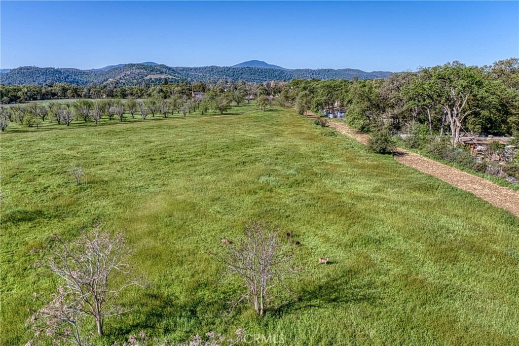 14549 Burns Valley Road Property Photo 20