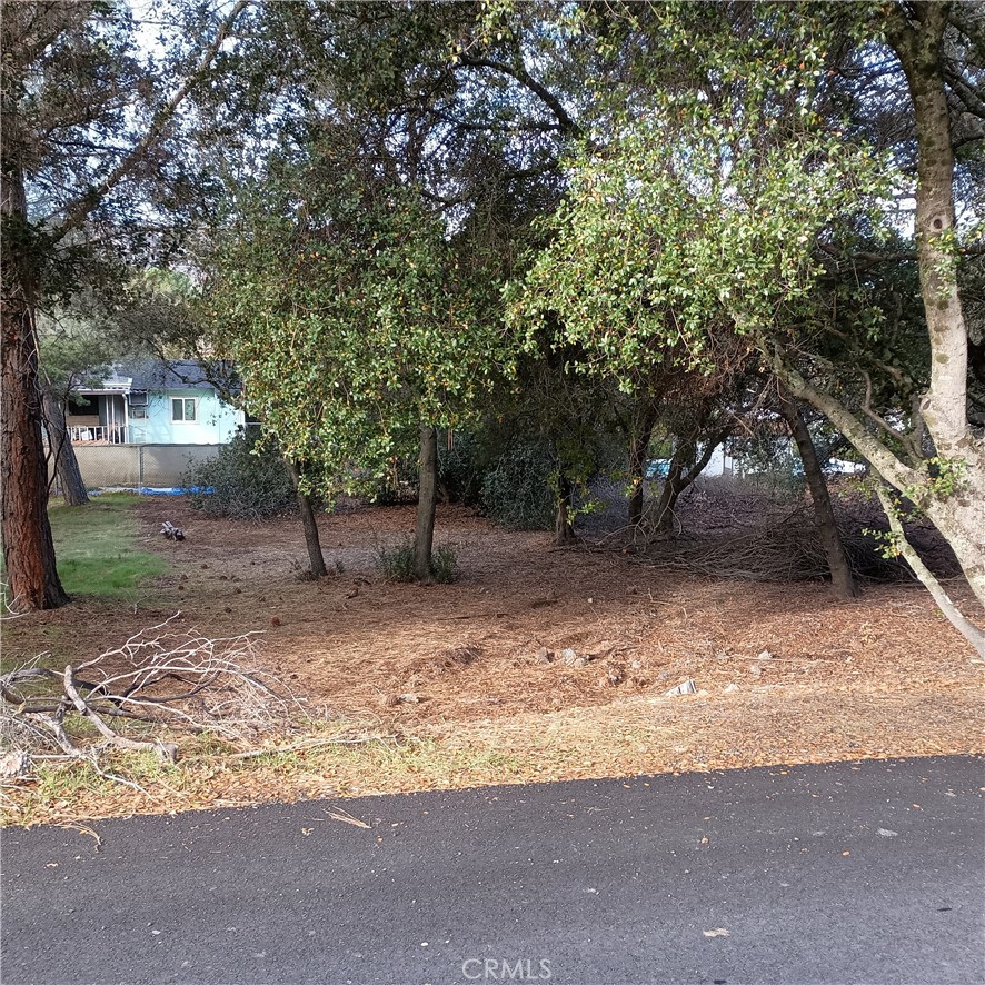 3021 9th Property Photo 3