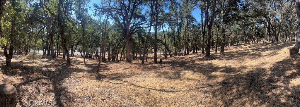 6060 Old Highway 53 Property Photo 3