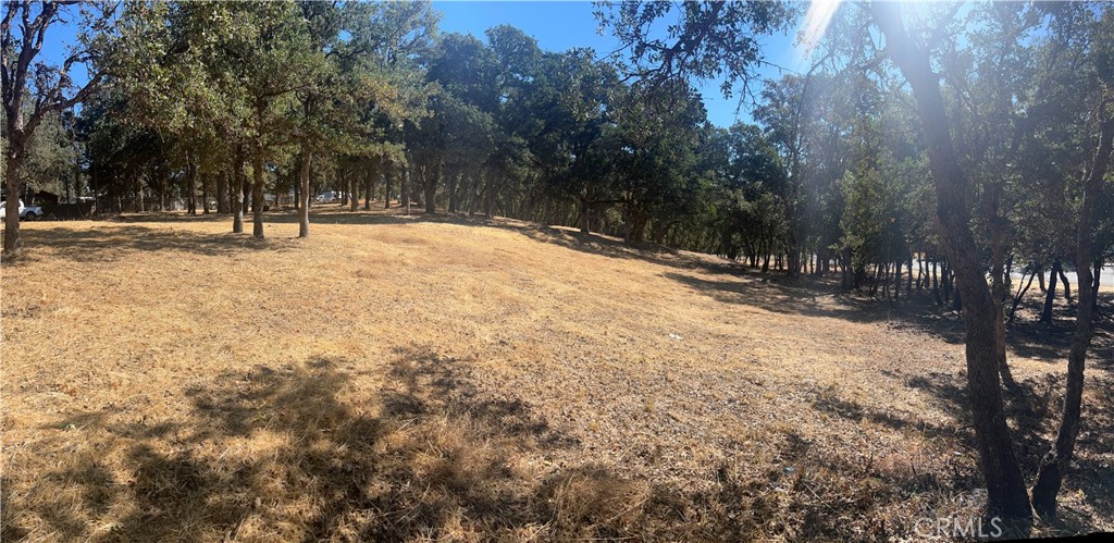 6060 Old Highway 53 Property Photo 4