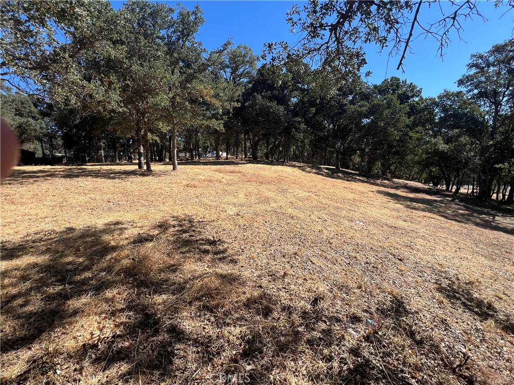 6060 Old Highway 53 Property Photo 5