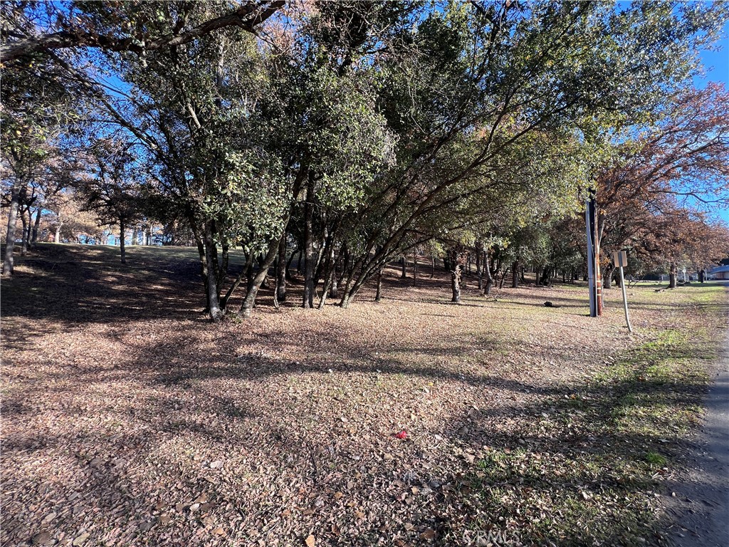 6060 Old Highway 53 Property Photo 7