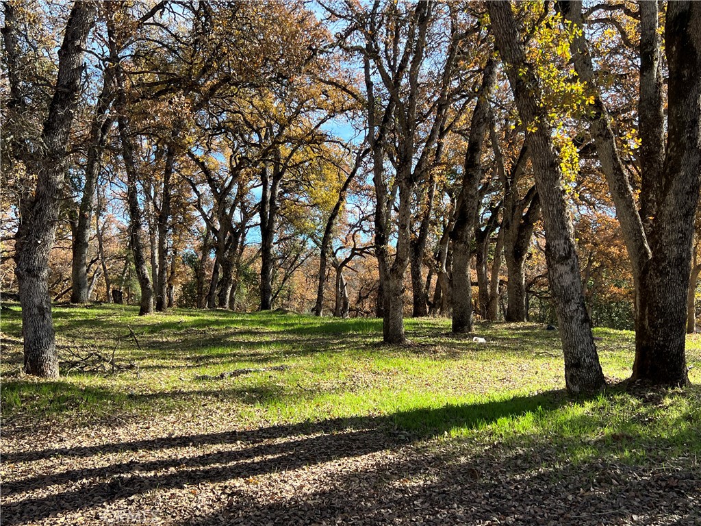 6060 Old Highway 53 Property Photo 8